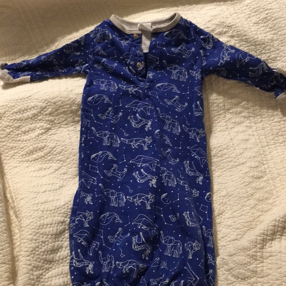 Blue sleeper